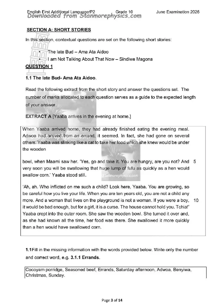 English HL FAL Grade 10 Term 2 2026 question paper preview