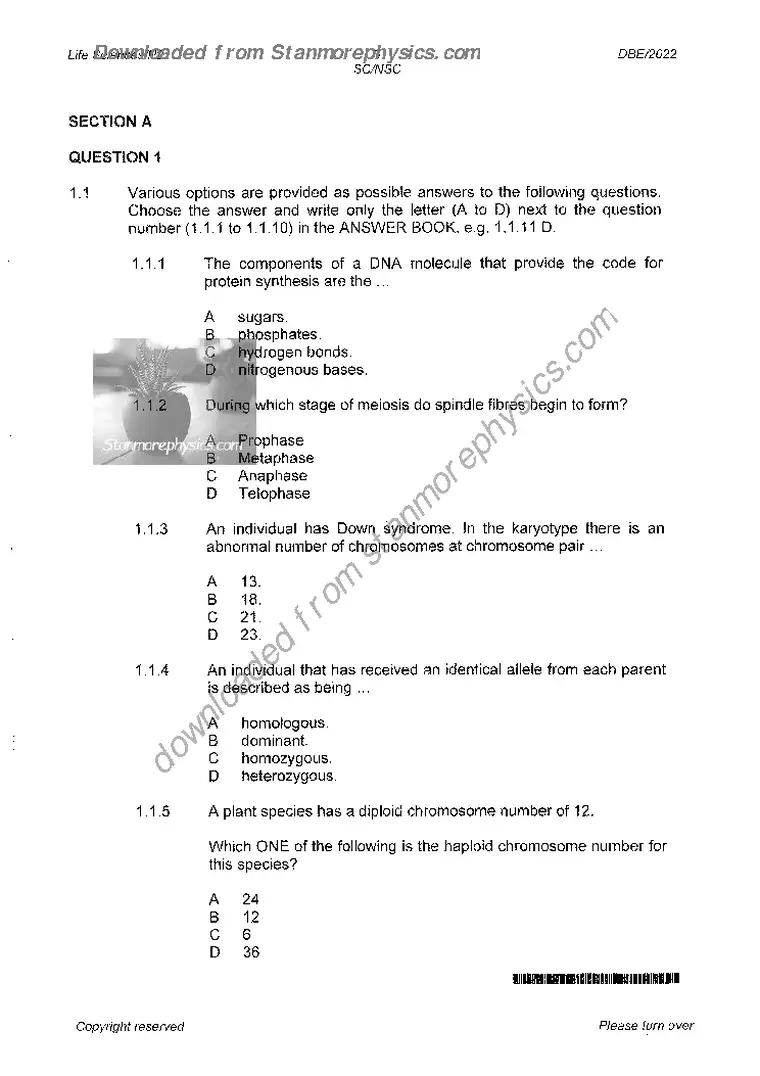 Life Sciences Grade 12 Term 2 June 2022 Paper 2 question paper PDF, preview of the first page of questions