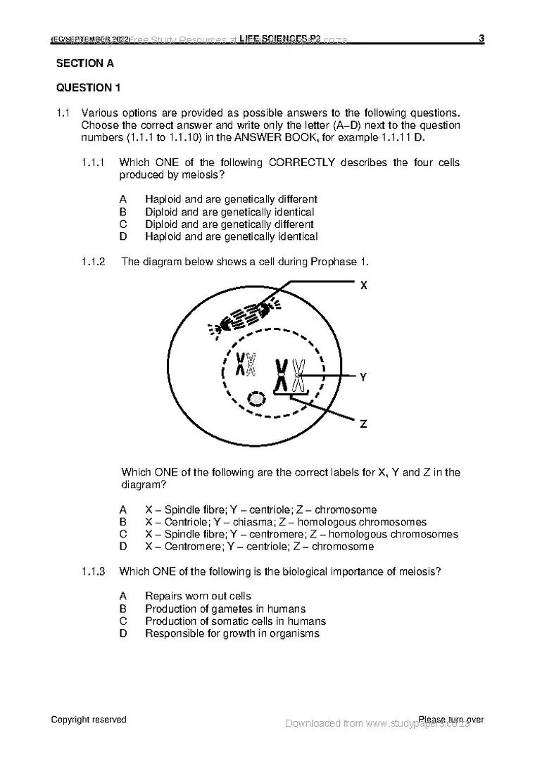 Life Sciences Grade 12 Term 3 September Trial 2022 Paper 2 question paper PDF, preview of the first page of questions