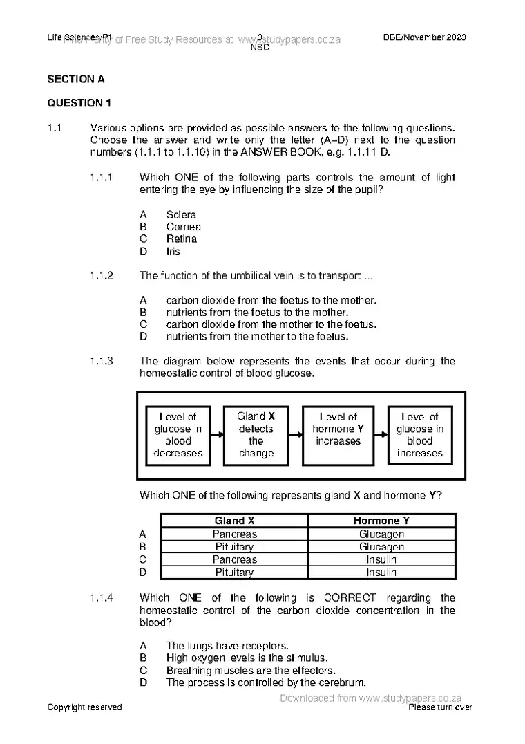Life Sciences Grade 12 Term 4 November 2023 Paper 1 question paper PDF, preview of the first page of questions