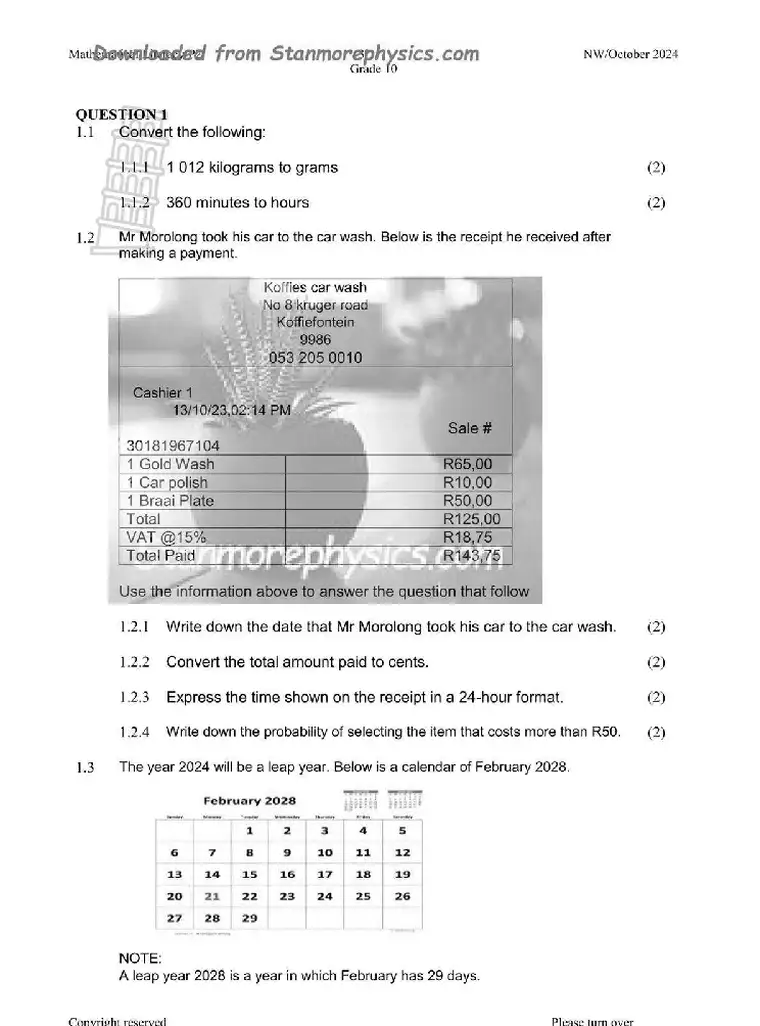 Mathematical Literacy Grade 10 Term 4 2024 question paper preview