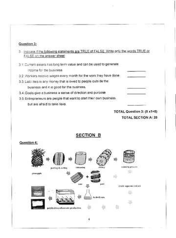 Economics Management and Science Grade 7 November 2020 question paper, first page of questions