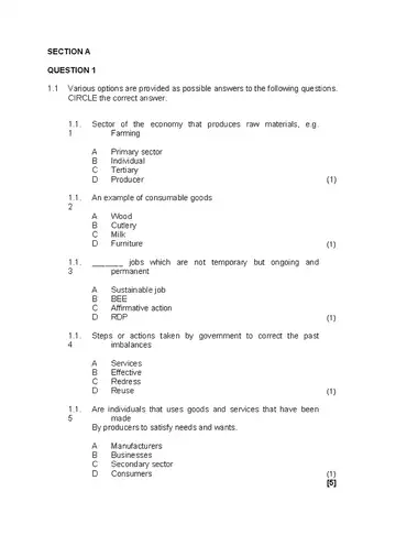 Economics Management and Science Grade 7 Common Test 2025 question paper, first page of questions