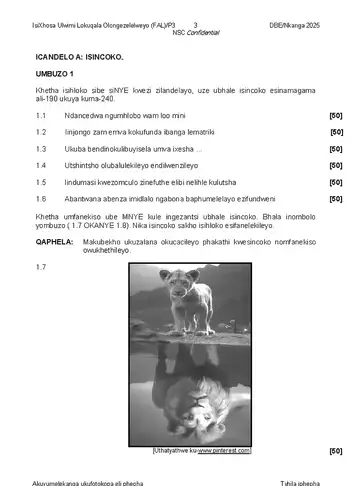 IsiXhosa Language Grade 12 November 2025 Paper 3 (National DBE) question paper, first page of questions