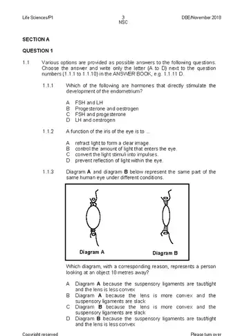 Life Sciences Grade 12 November 2018 Paper 1 (National DBE) question paper, first page of questions
