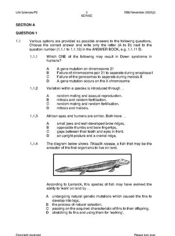 Life Sciences Grade 12 November 2020 Paper 2 (National DBE) question paper, first page of questions