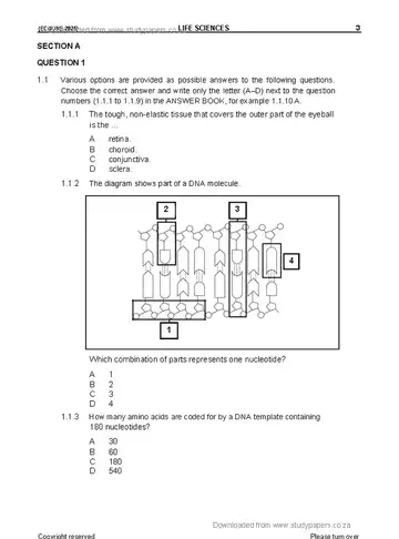 Life Sciences Grade 12 June 2025 Paper 1 question paper, first page of questions