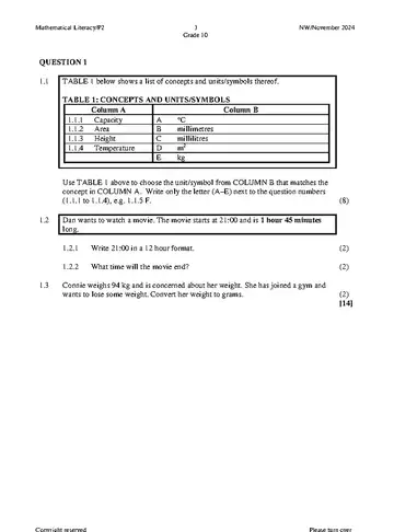 Mathematical Literacy Grade 10 November 2024 Paper 2 question paper, first page of questions
