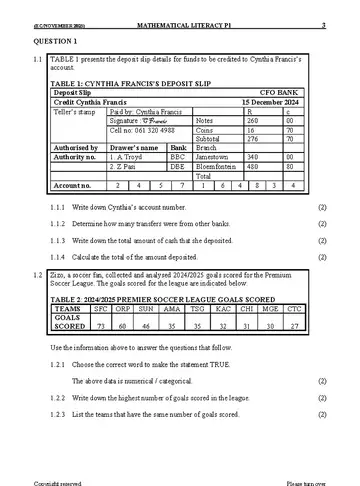 Mathematical Literacy Grade 11 November 2025 Paper 1 question paper, first page of questions
