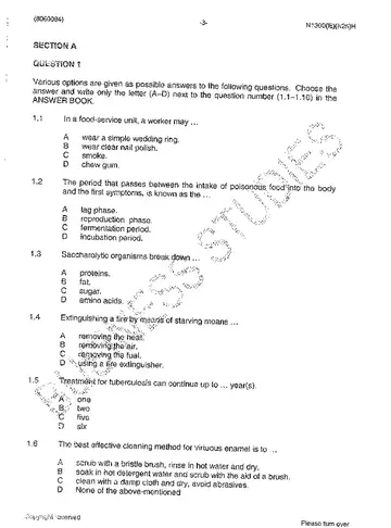 Sanitation and Safety N4 November 2013 question paper, first page of questions