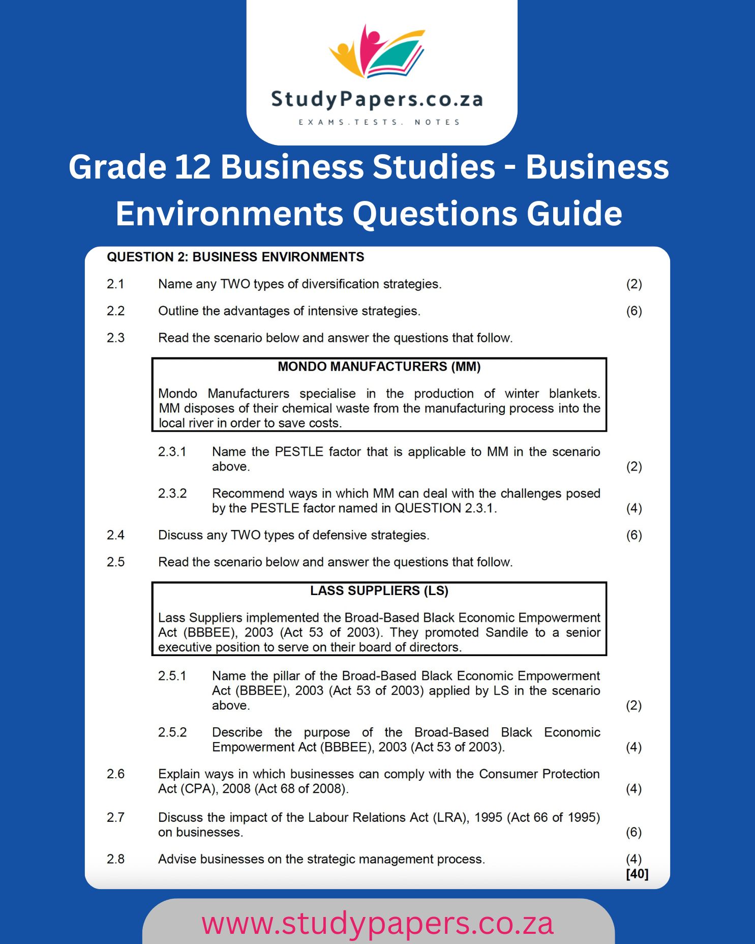 Grade 12 Business Studies - Business Environments Questions Guide