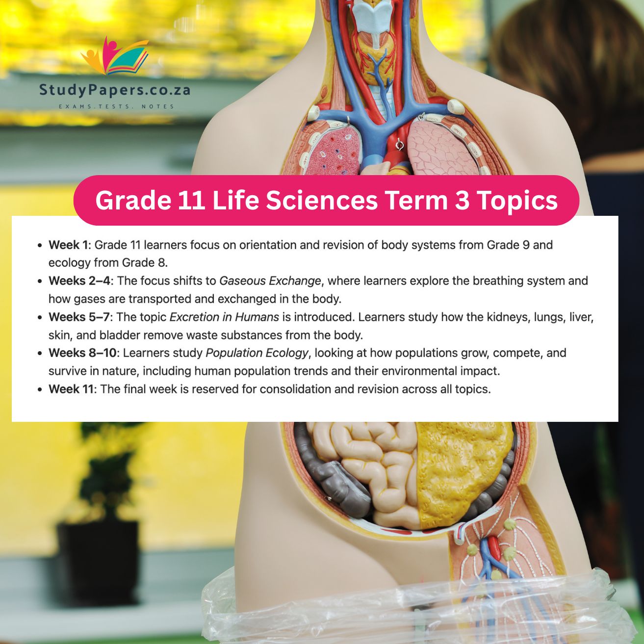 Grade 11 Life Sciences Term 3 Topics