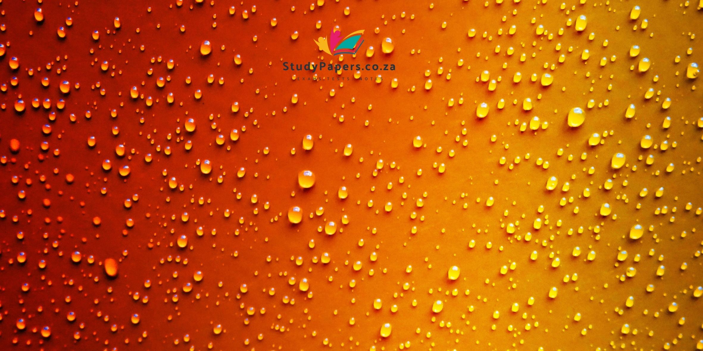 IsiNdebele First Additional Language (FAL) Grade 11 Annual Teaching Plan