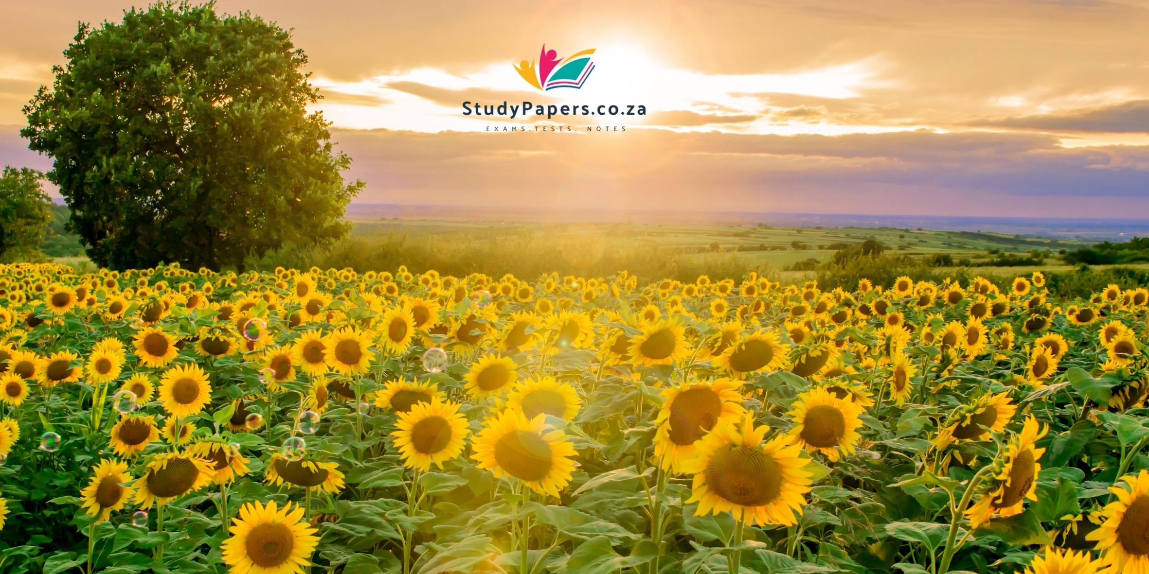 Setswana First Additional Language (FAL) Grade 11 Annual Teaching Plan